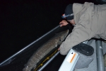 005-night-sturgeon-measuring