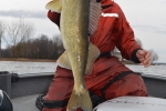 dore-8lbs-28-pouces