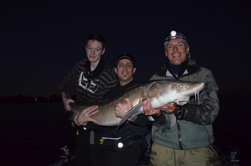 Pêche de nuit à l'esturgeon