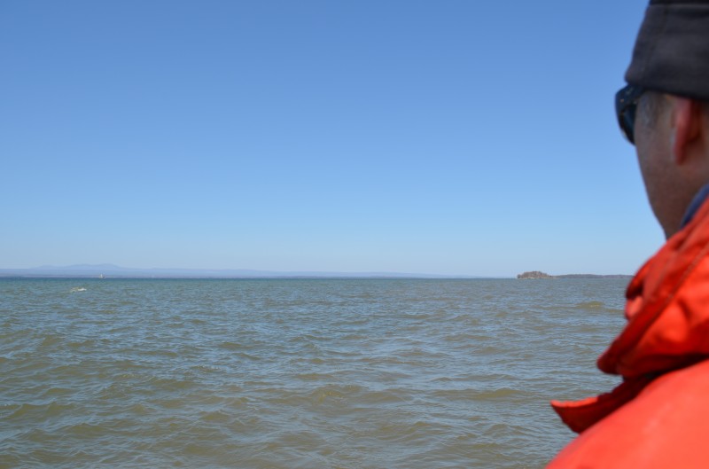 Pêche en eau brune