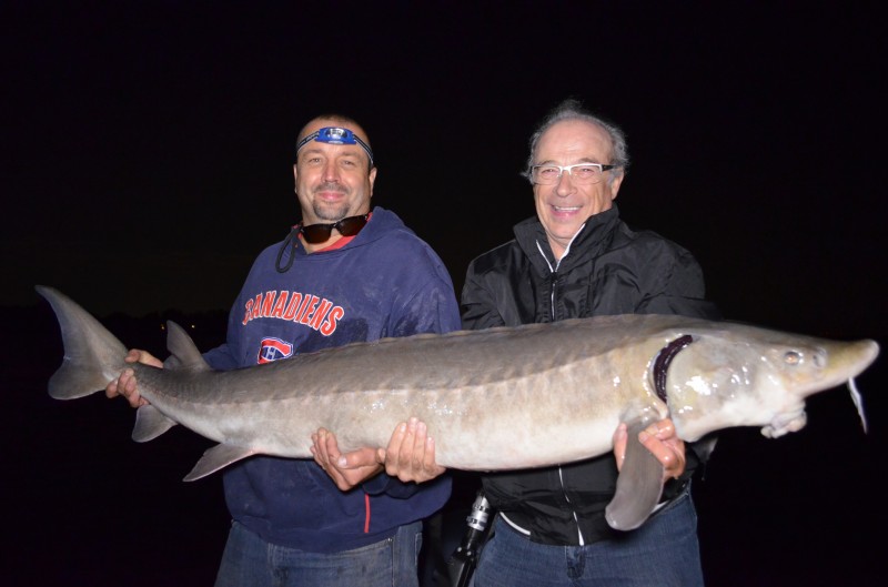 Pêche de nuit à l'esturgeon