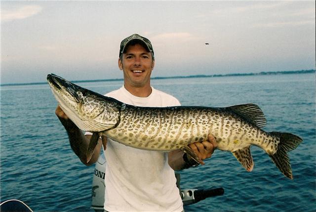 Musky Tiger record 