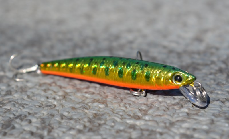 Yo-Zuri Pin's Minnow flottant 2